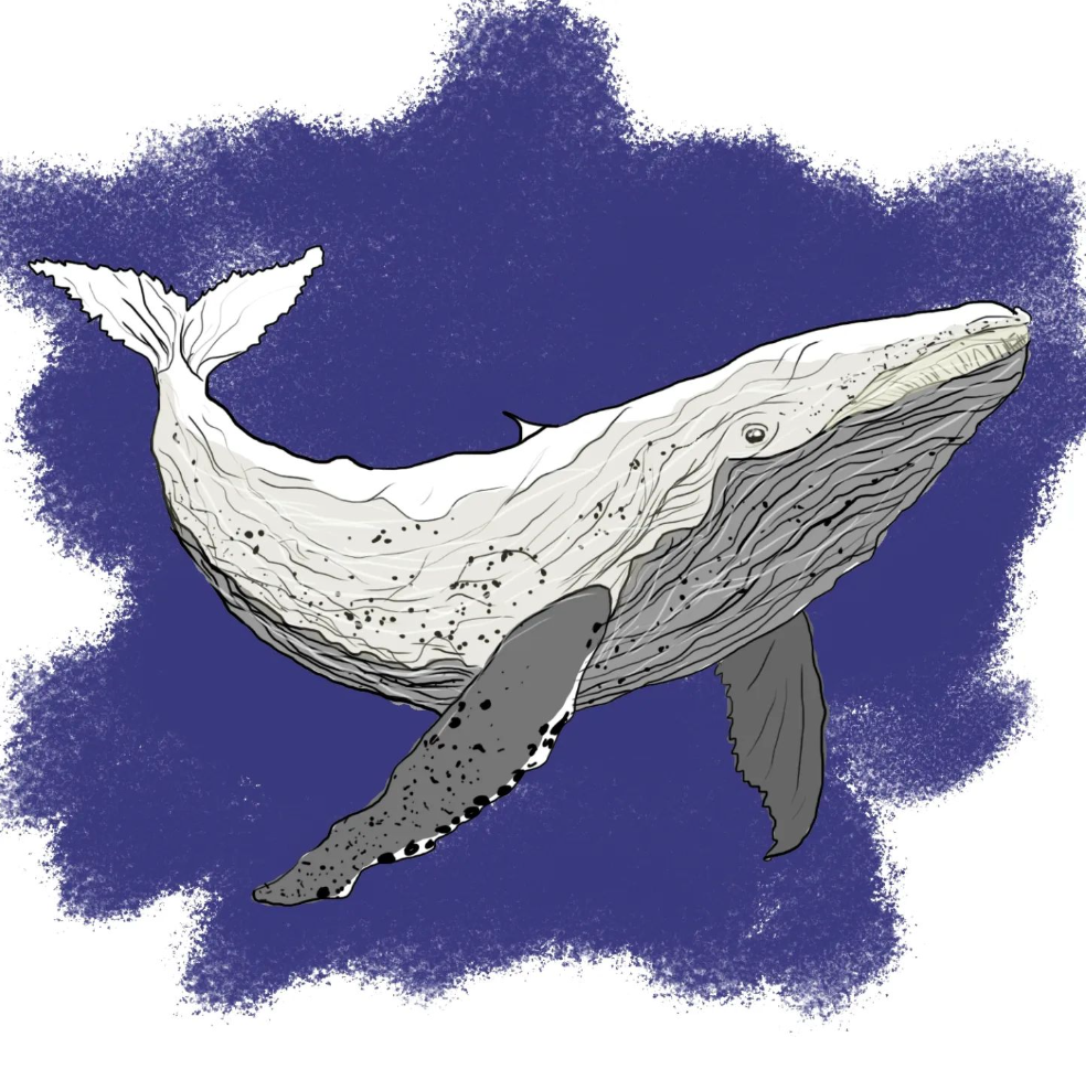 Artwork 3